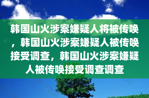 韩国山火涉案嫌疑人将被传唤，韩国山火涉案嫌疑人被传唤接受调查，韩国山火涉案嫌疑人被传唤接受调查调查