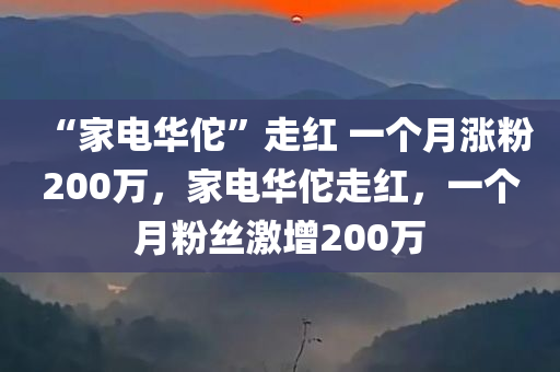 “家电华佗”走红 一个月涨粉200万，家电华佗走红，一个月粉丝激增200万