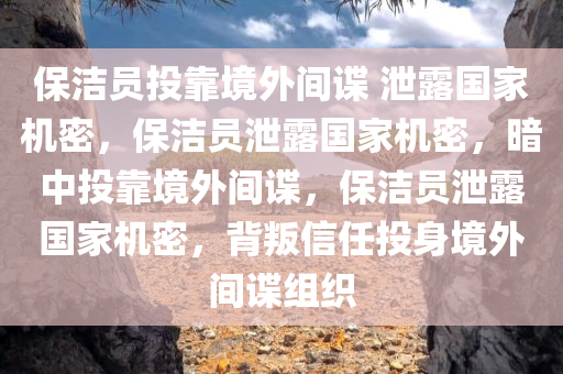 保洁员投靠境外间谍 泄露国家机密，保洁员泄露国家机密，暗中投靠境外间谍，保洁员泄露国家机密，背叛信任投身境外间谍组织