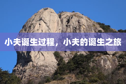 小夫诞生过程，小夫的诞生之旅