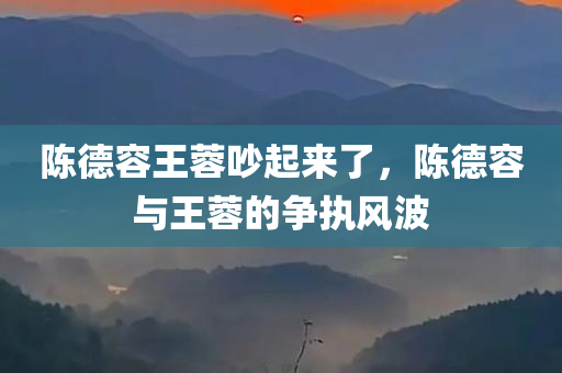 陈德容王蓉吵起来了，陈德容与王蓉的争执风波，陈德容与王蓉的争执风波引发关注热议