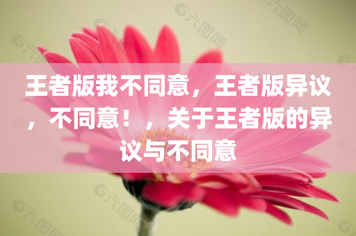 王者版我不同意，王者版异议，不同意！，关于王者版的异议与不同意