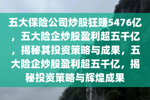 五大保险公司炒股狂赚5476亿，五大险企炒股盈利超五千亿，揭秘其投资策略与成果，五大险企炒股盈利超五千亿，揭秘投资策略与辉煌成果