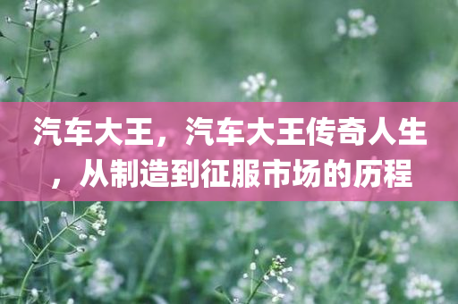 汽车大王，汽车大王传奇人生，从制造到征服市场的历程