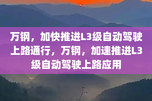 万钢，加快推进L3级自动驾驶上路通行，万钢，加速推进L3级自动驾驶上路应用