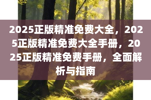 2025正版精准免费大全，2025正版精准免费大全手册，2025正版精准免费手册，全面解析与指南