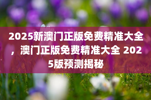 2025新澳门正版免费精准大全，澳门正版免费精准大全 2025版预测揭秘，澳门正版免费精准大全 2025版预测揭秘与指南