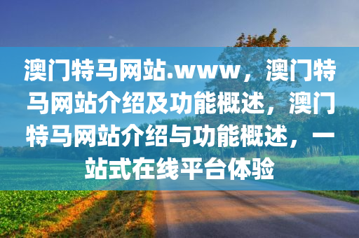 澳门特马网站.www，澳门特马网站介绍及功能概述，澳门特马网站介绍与功能概述，一站式在线平台体验