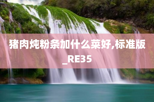 猪肉炖粉条加什么菜好,标准版_RE35