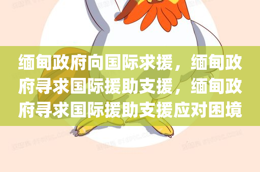 缅甸政府向国际求援，缅甸政府寻求国际援助支援，缅甸政府寻求国际援助支援应对困境