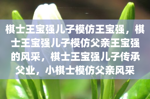 棋士王宝强儿子模仿王宝强，棋士王宝强儿子模仿父亲王宝强的风采，棋士王宝强儿子传承父业，小棋士模仿父亲风采