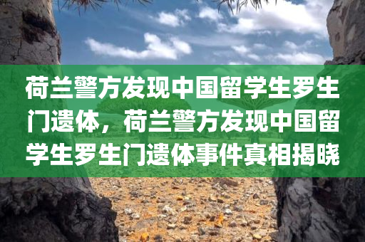 荷兰警方发现中国留学生罗生门遗体，荷兰警方发现中国留学生罗生门遗体事件真相揭晓，荷兰警方发现中国留学生罗生门遗体事件真相揭晓，遗体发现背后的故事浮出水面