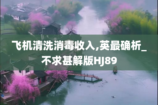 飞机清洗消毒收入,英最确析_不求甚解版今晚必出三肖2025_2025新澳门精准免费提供·精确判断HJ89