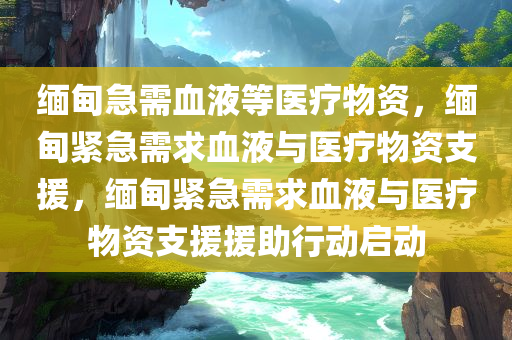 缅甸急需血液等医疗物资，缅甸紧急需求血液与医疗物资支援，缅甸紧急需求血液与医疗物资支援援助行动启动