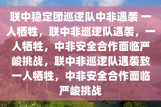 联中稳定团巡逻队中非遇袭 一人牺牲，联中非巡逻队遇袭，一人牺牲，中非安全合作面临严峻挑战，联中非巡逻队遇袭致一人牺牲，中非安全合作面临严峻挑战