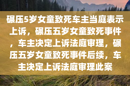 碾压5岁女童致死车主当庭表示上诉，碾压五岁女童致死事件，车主决定上诉法庭审理，碾压五岁女童致死事件后续，车主决定上诉法庭审理此案