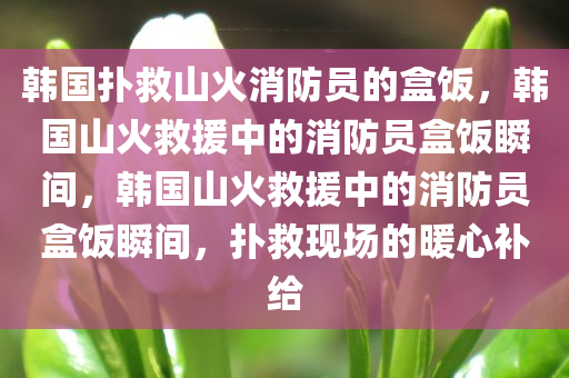 韩国扑救山火消防员的盒饭，韩国山火救援中的消防员盒饭瞬间，韩国山火救援中的消防员盒饭瞬间，扑救现场的暖心补给