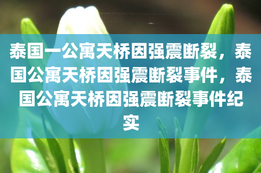 泰国一公寓天桥因强震断裂，泰国公寓天桥因强震断裂事件，泰国公寓天桥因强震断裂事件纪实