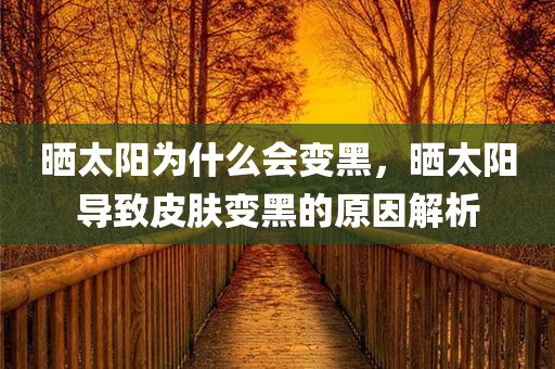 晒太阳为什么会变黑，晒太阳导致皮肤变黑的原因解析，晒太阳导致皮肤变黑的原因解析，阳光照射与黑色素形成的关联