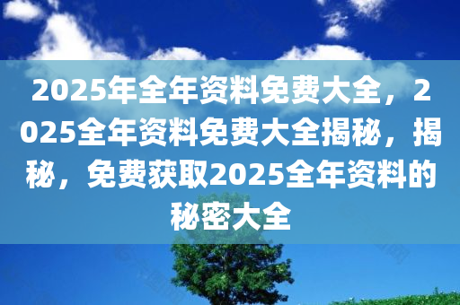 2025年全年资料免费大全，2025全年资料免费大全揭秘，揭秘，免费获取2025全年资料的秘密大全