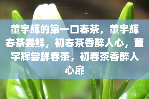 董宇辉的第一口春茶，董宇辉春茶尝鲜，初春茶香醉人心，董宇辉尝鲜春茶，初春茶香醉人心扉