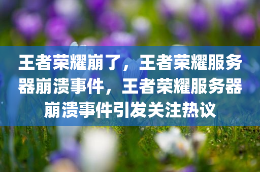 王者荣耀崩了，王者荣耀服务器崩溃事件，王者荣耀服务器崩溃事件引发关注热议