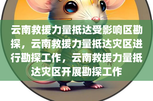 云南救援力量抵达受影响区勘探，云南救援力量抵达灾区进行勘探工作，云南救援力量抵达灾区开展勘探工作