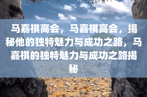马嘉祺高会，马嘉祺高会，揭秘他的独特魅力与成功之路，马嘉祺的独特魅力与成功之路揭秘