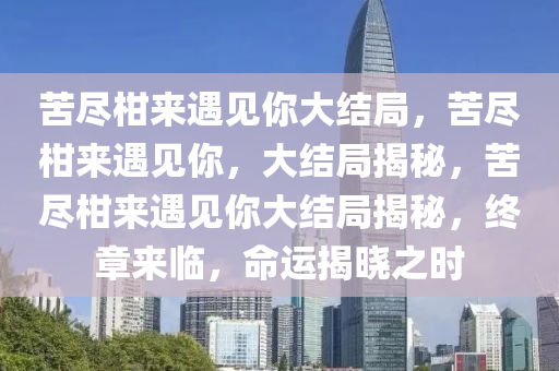 苦尽柑来遇见你大结局，苦尽柑来遇见你，大结局揭秘，苦尽柑来遇见你大结局揭秘，终章来临，命运揭晓之时