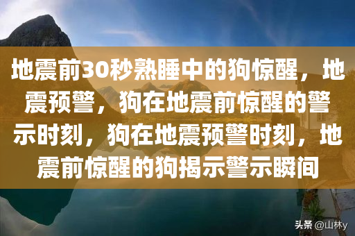 地震前30秒熟睡中的狗惊醒，地震预警，狗在地震前惊醒的警示时刻，狗在地震预警时刻，地震前惊醒的狗揭示警示瞬间