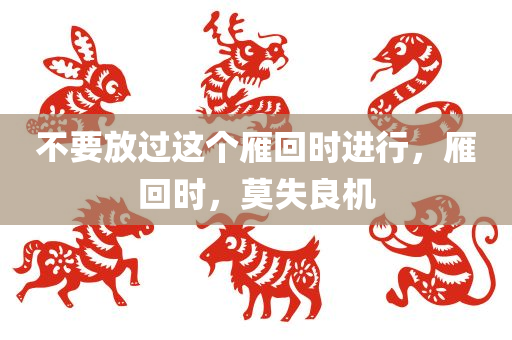 不要放过这个雁回时进行，雁回时，莫失良机