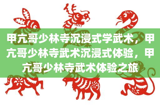 甲亢哥少林寺沉浸式学武术，甲亢哥少林寺武术沉浸式体验，甲亢哥少林寺武术体验之旅