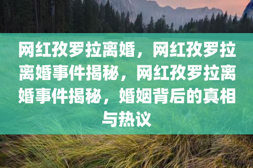 网红孜罗拉离婚，网红孜罗拉离婚事件揭秘，网红孜罗拉离婚事件揭秘，婚姻背后的真相与热议