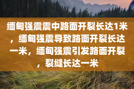 缅甸强震震中路面开裂长达1米，缅甸强震导致路面开裂长达一米，缅甸强震引发路面开裂，裂缝长达一米