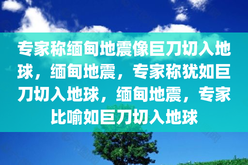 专家称缅甸地震像巨刀切入地球，缅甸地震，专家称犹如巨刀切入地球，缅甸地震，专家比喻如巨刀切入地球