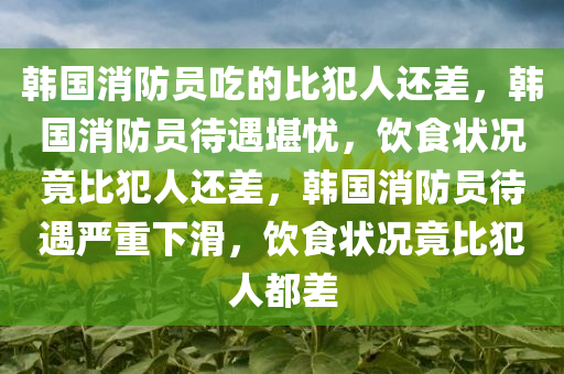 韩国消防员吃的比犯人还差，韩国消防员待遇堪忧，饮食状况竟比犯人还差，韩国消防员待遇严重下滑，饮食状况竟比犯人都差