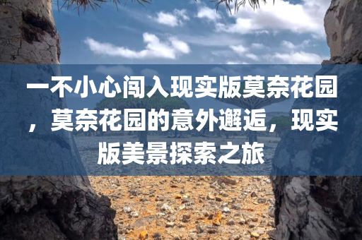 一不小心闯入现实版莫奈花园，莫奈花园的意外邂逅，现实版美景探索之旅