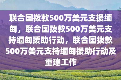 联合国拨款500万美元支援缅甸，联合国拨款500万美元支持缅甸援助行动，联合国拨款500万美元支持缅甸援助行动及重建工作