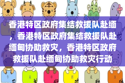 香港特区政府集结救援队赴缅，香港特区政府集结救援队赴缅甸协助救灾，香港特区政府救援队赴缅甸协助救灾行动