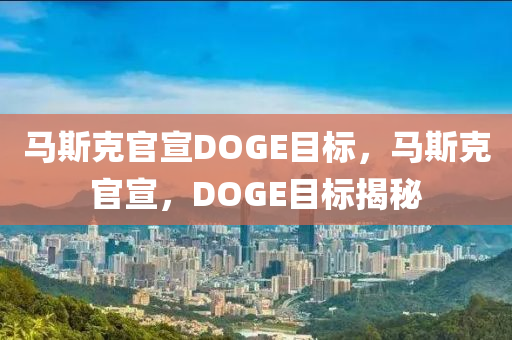 马斯克官宣DOGE目标，马斯克官宣，DOGE目标揭秘，马斯克官宣揭秘，DOGE目标揭晓