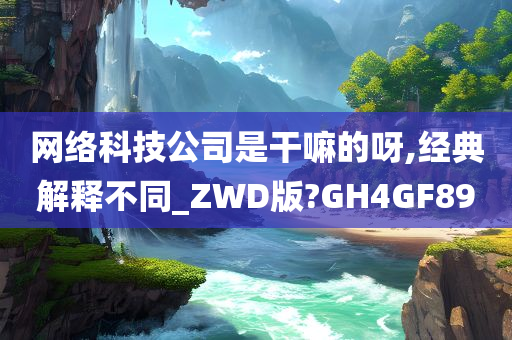网络科技公司是干嘛的呀,经典解释不同_ZWD版?GH4GF89