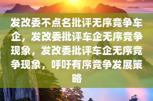 发改委不点名批评无序竞争车企，发改委批评车企无序竞争现象，发改委批评车企无序竞争现象，呼吁有序竞争发展策略