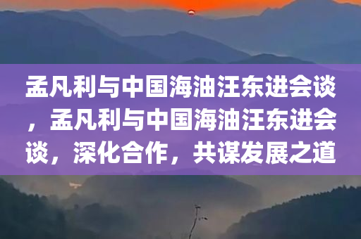 孟凡利与中国海油汪东进会谈，孟凡利与中国海油汪东进会谈，深化合作，共谋发展之道