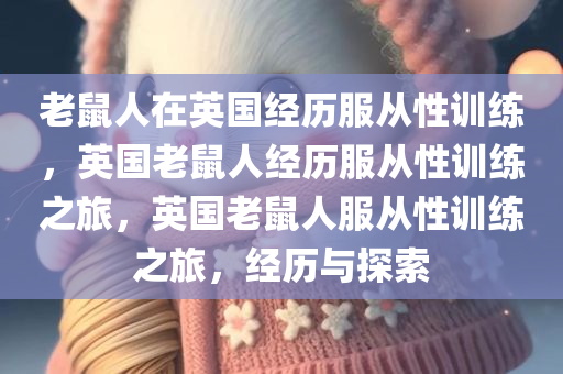 老鼠人在英国经历服从性训练，英国老鼠人经历服从性训练之旅，英国老鼠人服从性训练之旅，经历与探索