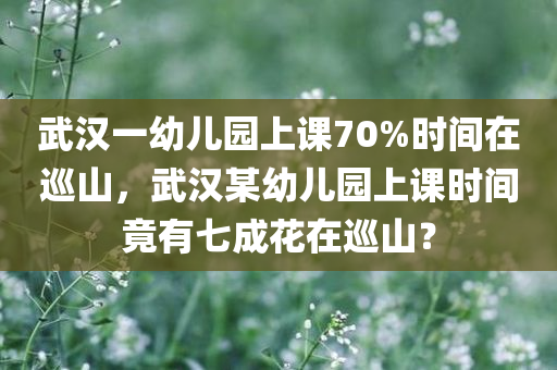 武汉一幼儿园上课70%时间在巡山，武汉某幼儿园上课时间竟有七成花在巡山？
