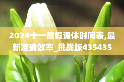 2024十一放假调休时间表,最新准确效率_挑战版435435