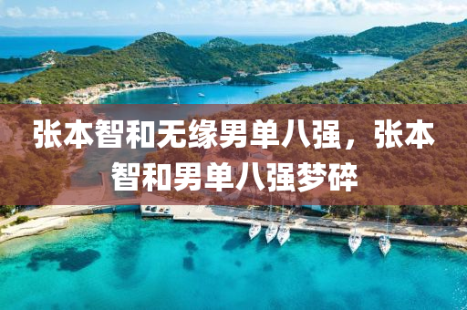 张本智和无缘男单八强，张本智和男单八强梦碎