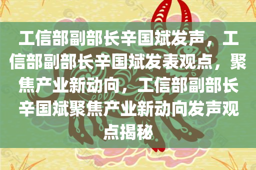 工信部副部长辛国斌发声，工信部副部长辛国斌发表观点，聚焦产业新动向，工信部副部长辛国斌聚焦产业新动向发声观点揭秘