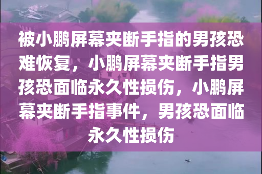 被小鹏屏幕夹断手指的男孩恐难恢复，小鹏屏幕夹断手指男孩恐面临永久性损伤，小鹏屏幕夹断手指事件，男孩恐面临永久性损伤