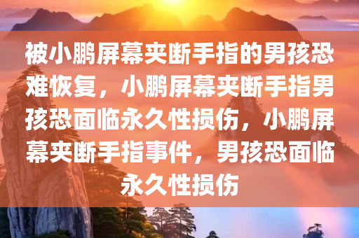被小鹏屏幕夹断手指的男孩恐难恢复，小鹏屏幕夹断手指男孩恐面临永久性损伤，小鹏屏幕夹断手指事件，男孩恐面临永久性损伤